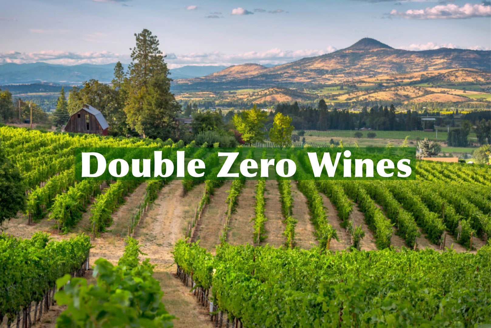 Double Zero Wines
