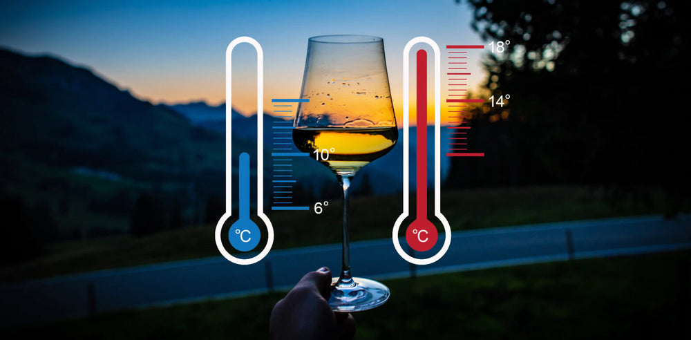 White wine glass held outdoors with ideal serving temperature ranges illustrated