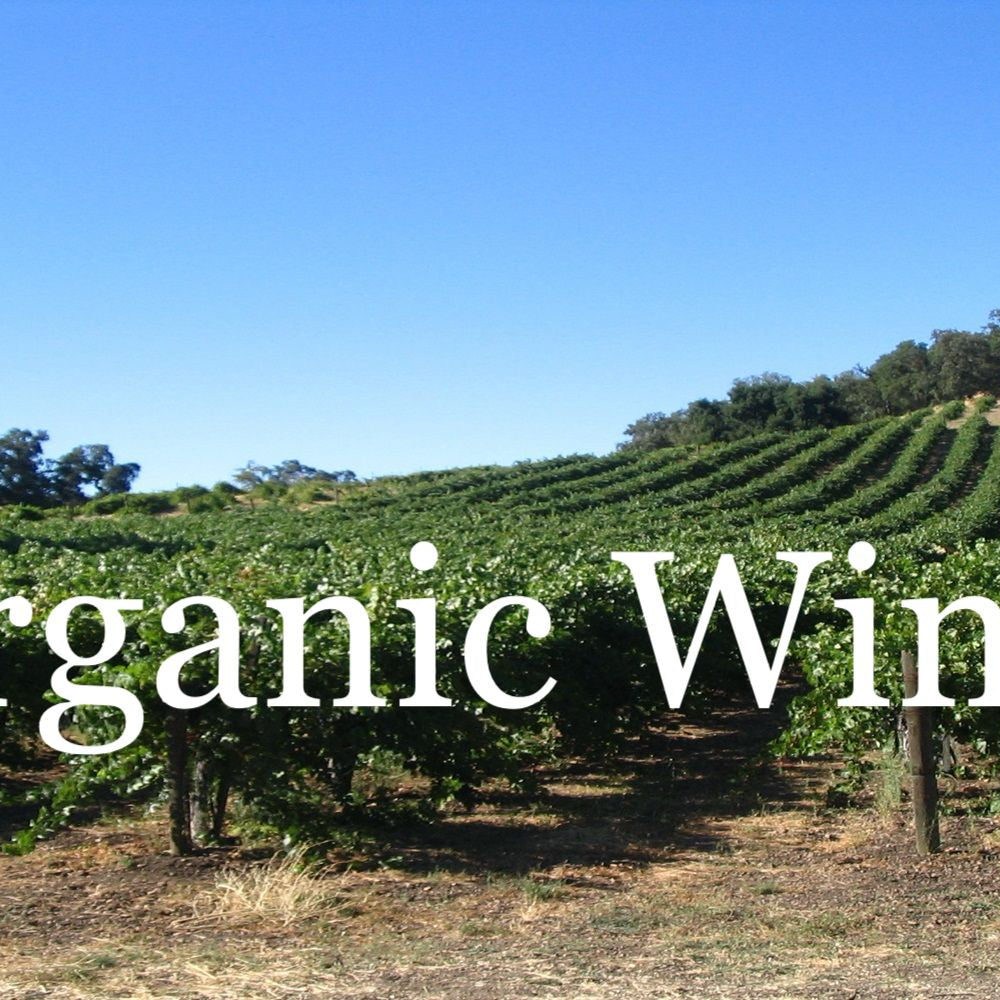 Organic vineyard with rows of grapevines under a clear blue sky